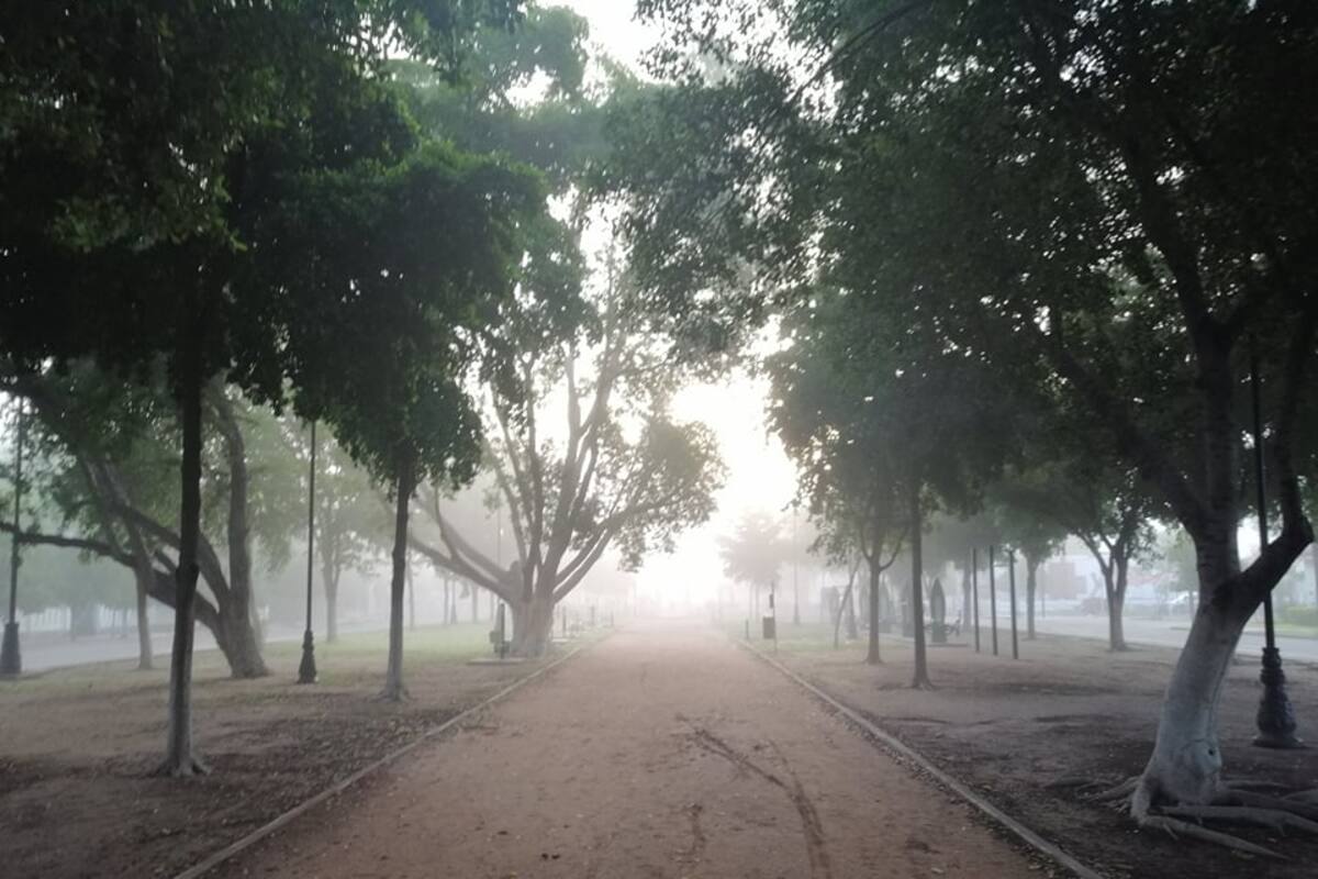 Neblina ofrece bellas postales en Hermosillo