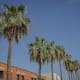 Se despide el clima templado; SLRC se acerca a los 40 grados esta semana