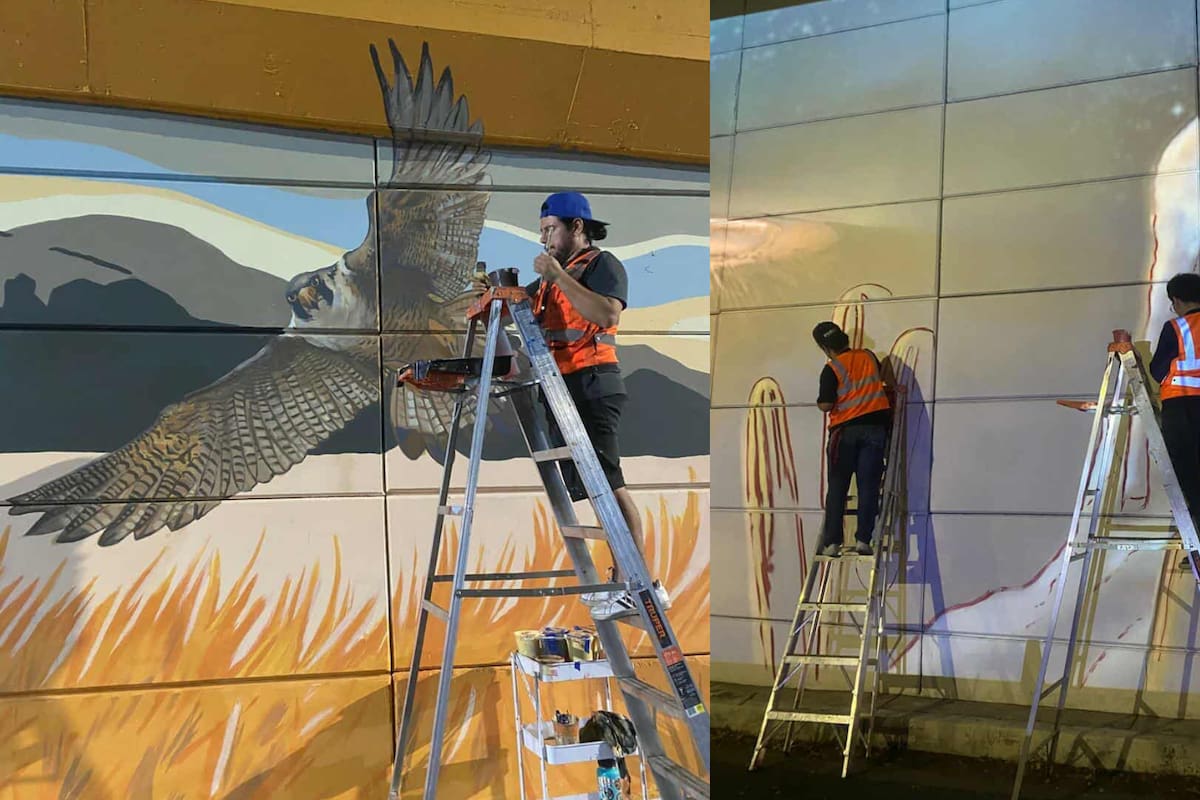 Roban escaleras a colectivo artístico en Hermosillo mientras pintaban mural sobre biodiversidad