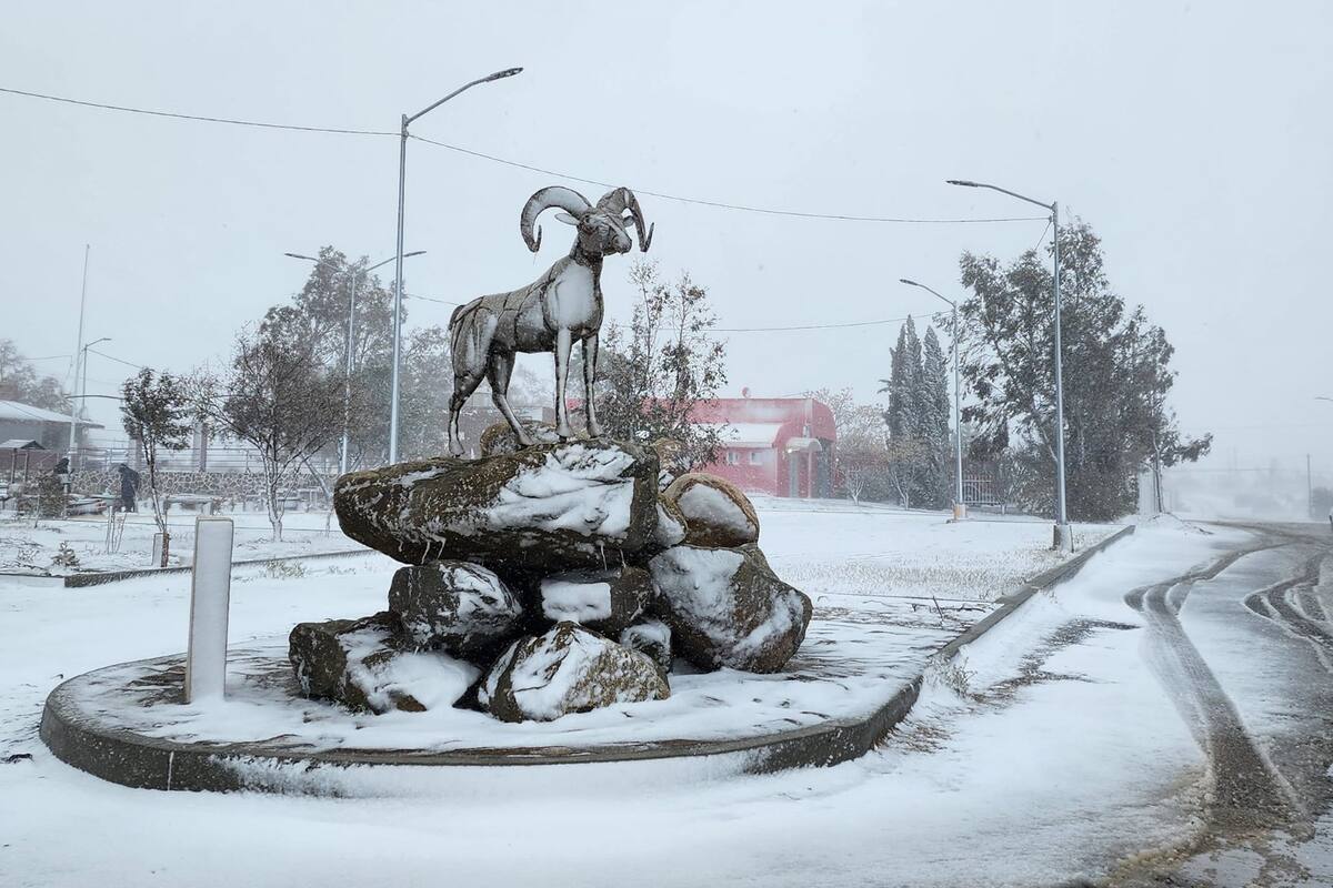 Prevén nevadas; Protección Civil llama a extremar precauciones