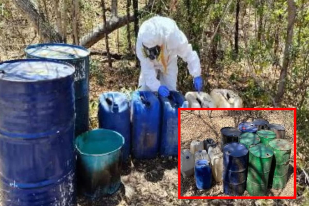 Autoridades aseguran 6 laboratorios clandestinos de droga en Culiacán y Cosalá