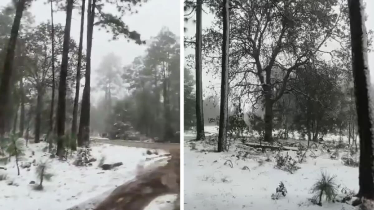 ¿Dónde está nevando en Sonora este domingo? CEPC confirma acumulaciones de hasta 2 cm y posible aguanieve en Yécora, Esqueda y zona serrana