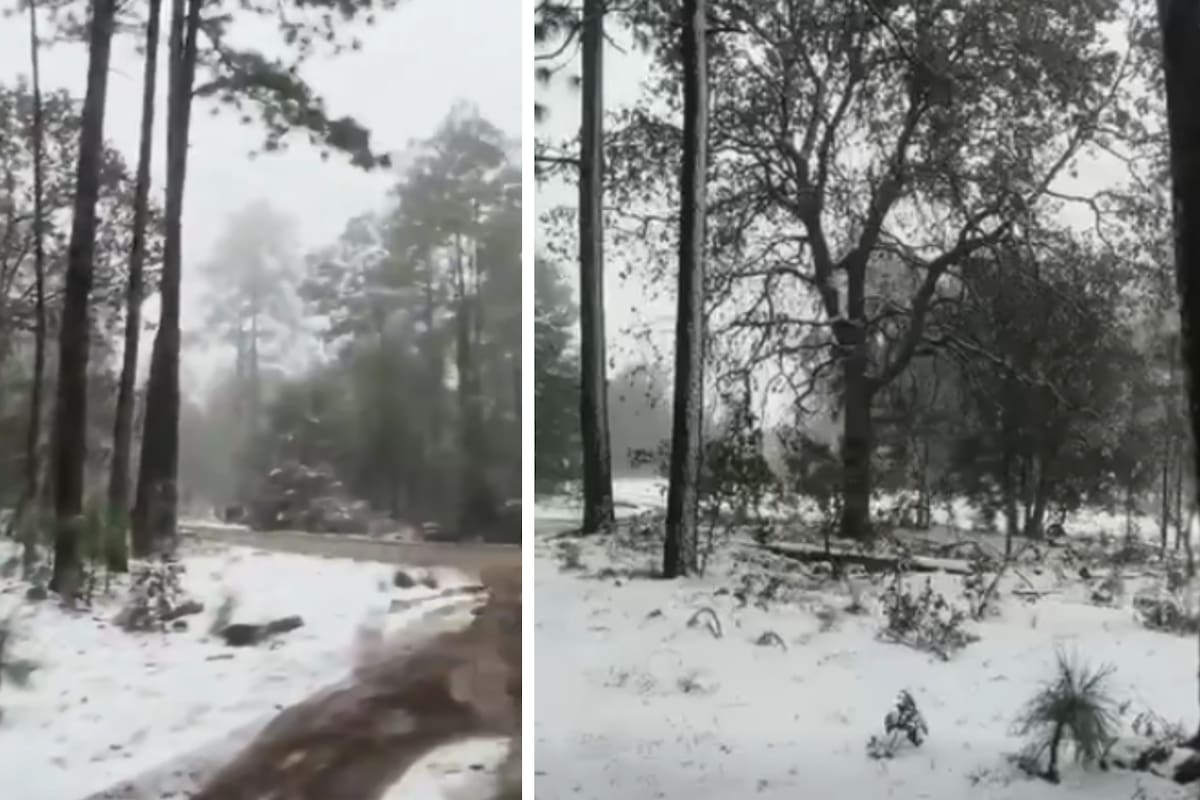 ¿Dónde está nevando en Sonora este domingo? CEPC confirma acumulaciones de hasta 2 cm y posible aguanieve en Yécora, Esqueda y zona serrana