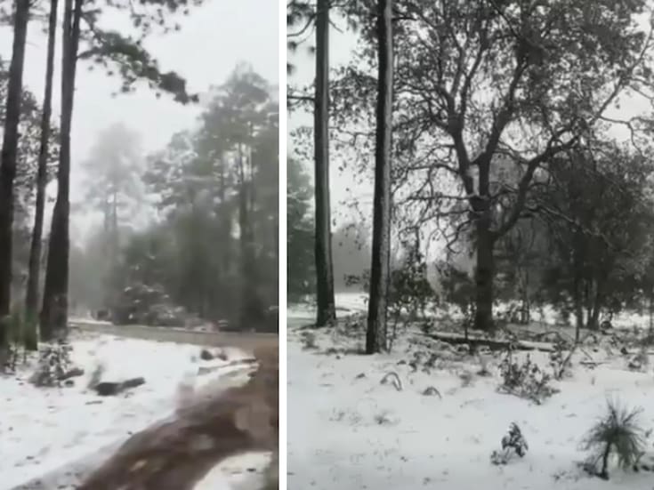 ¿Dónde está nevando en Sonora este domingo? CEPC confirma acumulaciones de hasta 2 cm y posible aguanieve en Yécora, Esqueda y zona serrana