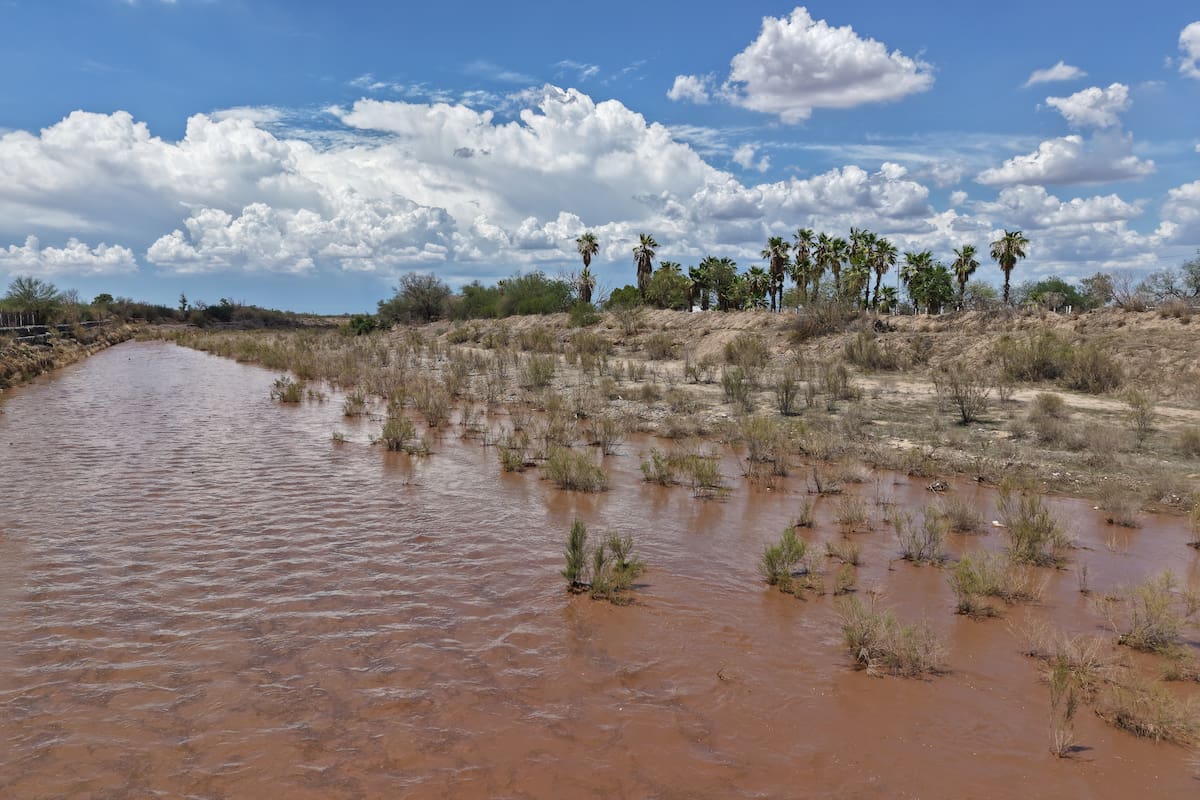Seguirán las tormentas por efectos del monzón de verano en Sonora: ¿en qué municipios se concentrarán las lluvias hoy?
