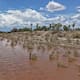 Seguirán las tormentas por efectos del monzón de verano en Sonora: ¿en qué municipios se concentrarán las lluvias hoy?