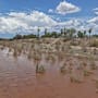 Seguirán las tormentas por efectos del monzón de verano en Sonora: ¿en qué municipios se concentrarán las lluvias hoy?