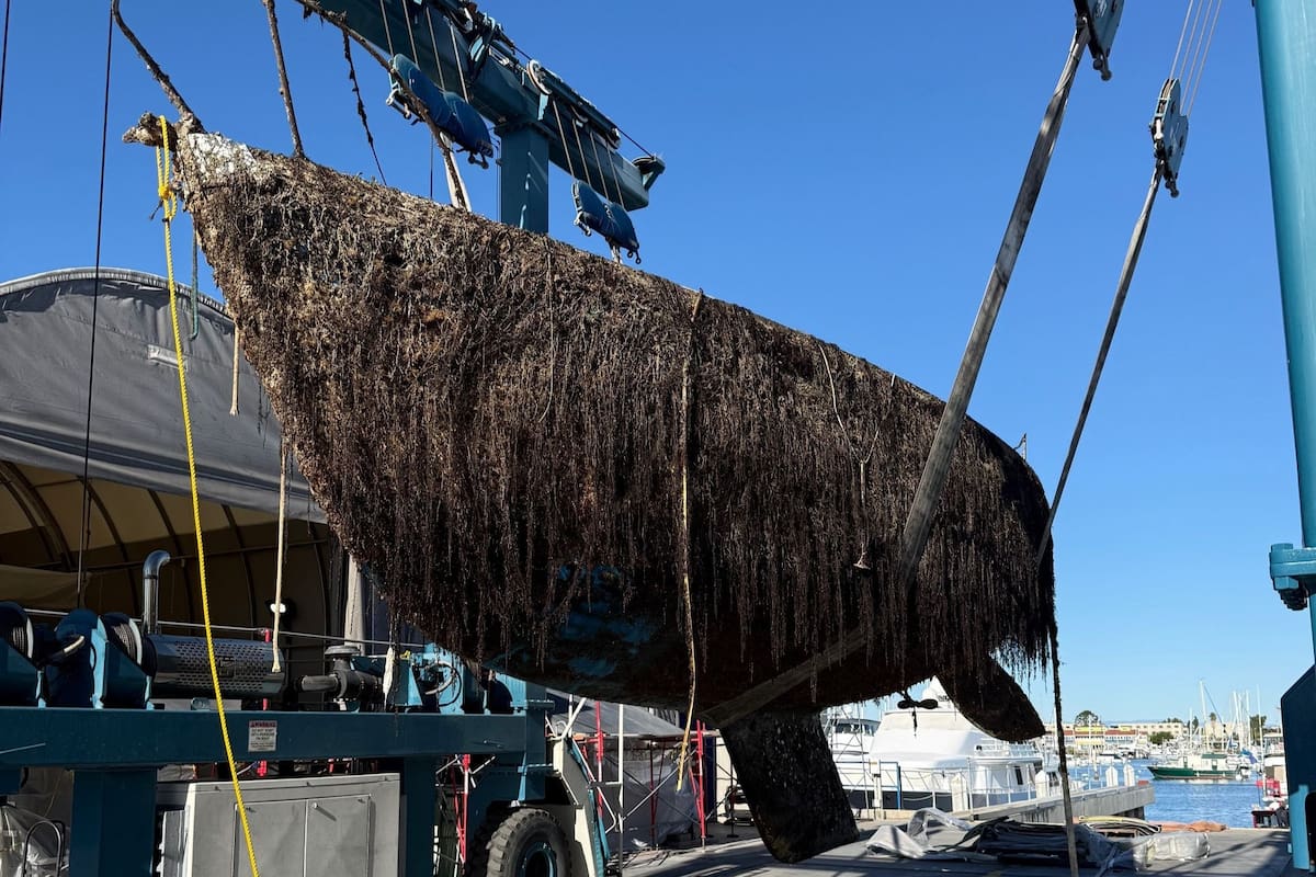 Retiran casi 60 toneladas de escombros en bahía de San Diego