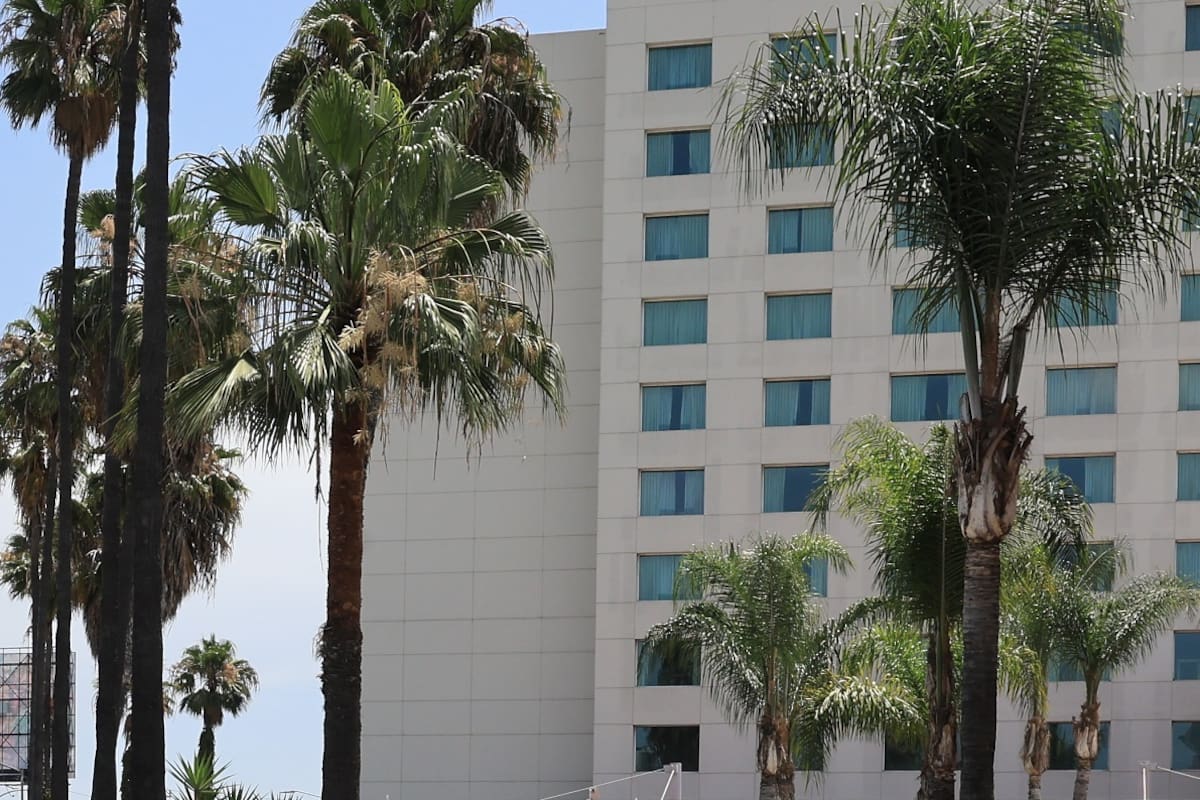 Tijuana cierra vacaciones con 62% de ocupación hotelera