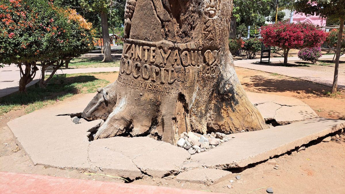 La escultura es parte del patrimonio de la comunidad yaqui, quienes se oponen a su retirada. FOTO: ESPECIAL