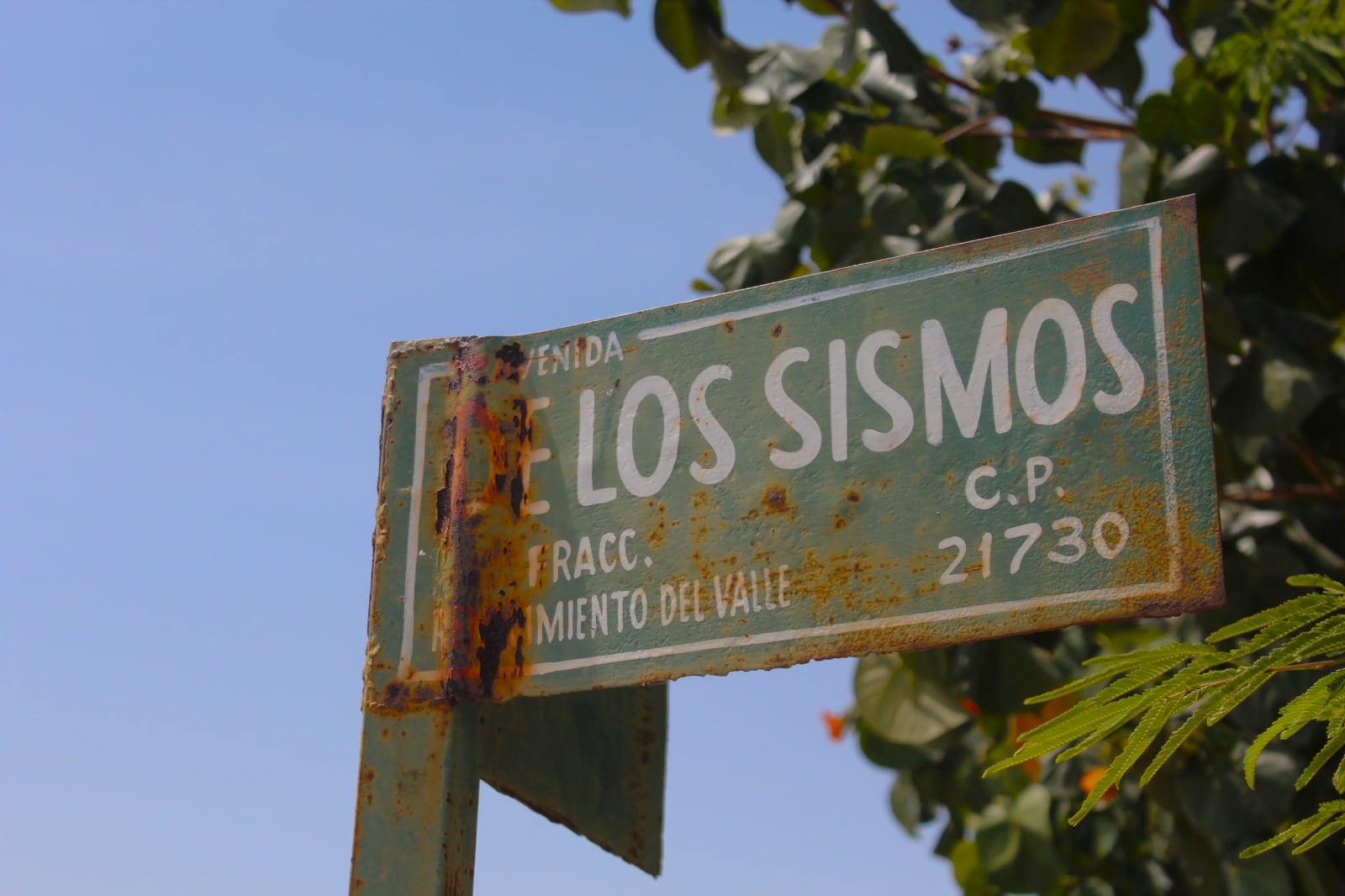 Said Morones/Javier Gallegos