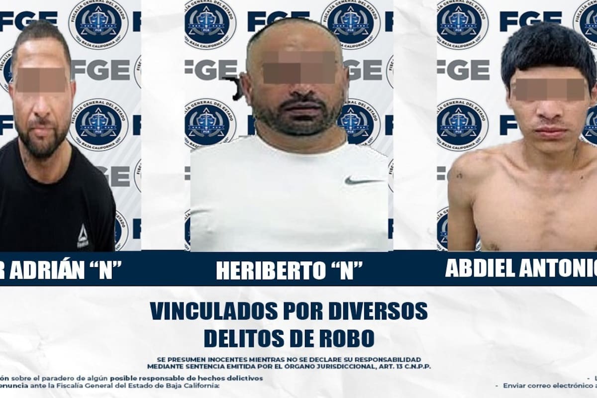 Procesan a tres hombres por robos a comercio y domicilios