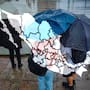 Frente Frío 45 llegará a México con fuertes lluvias para el Norte del País