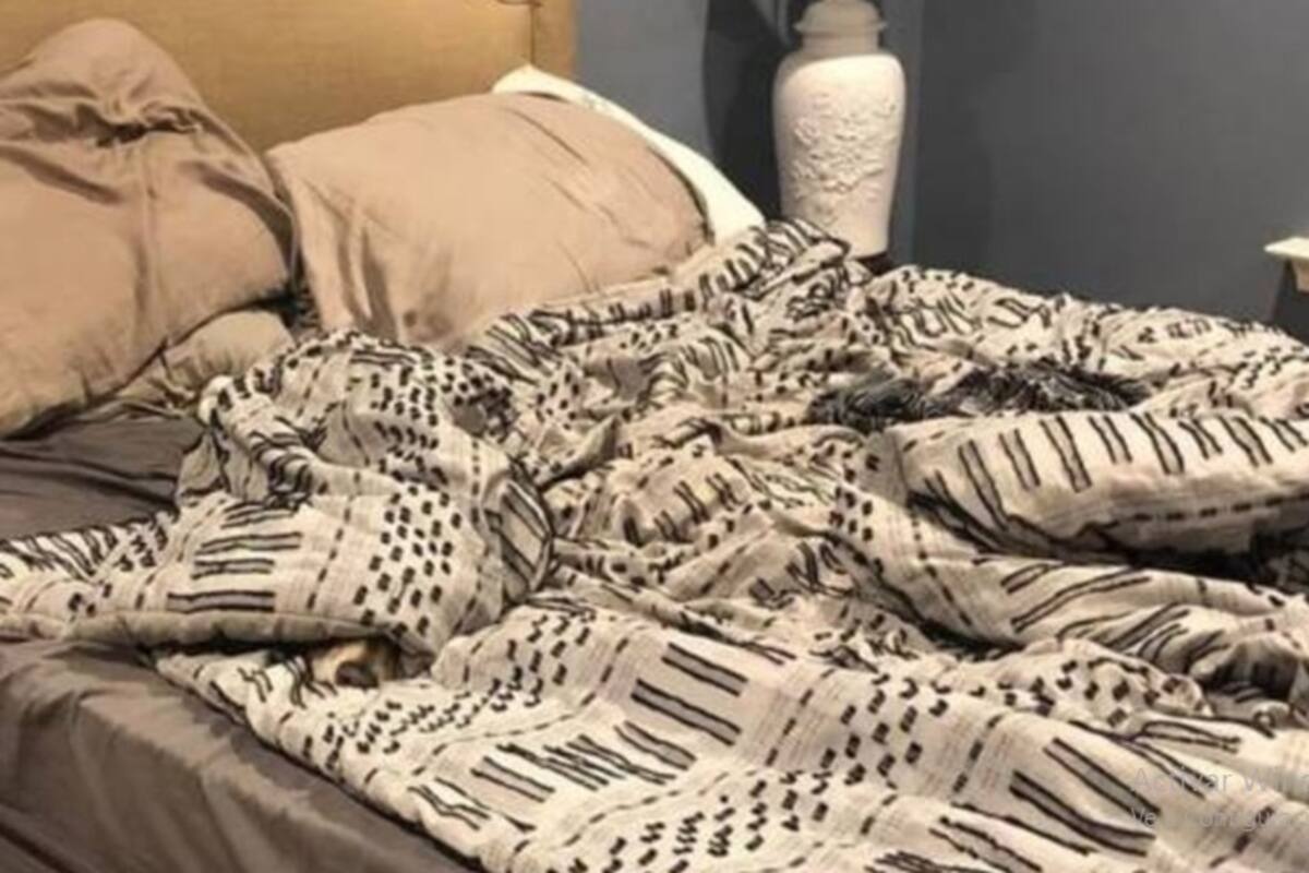 Reto visual: Encuentra al perro escondido entre las sábanas