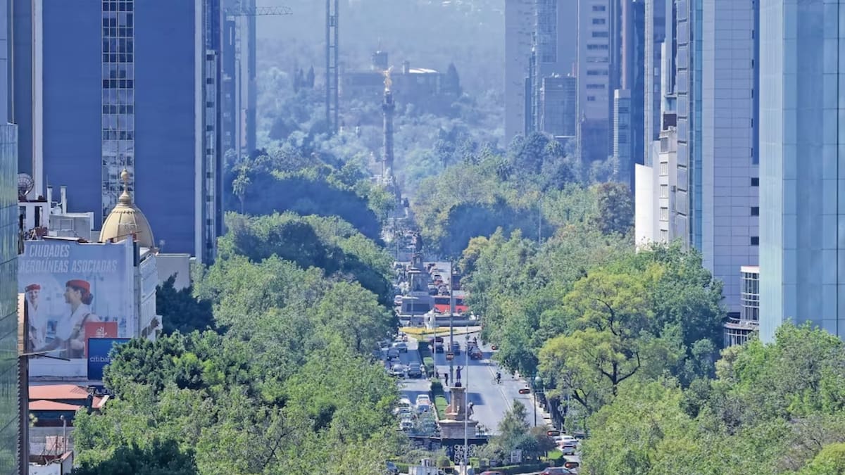 Habitantes de Polanco logran una suspensión provisional para frenar el festival del Mundial 2026 en Campo Marte tras denunciar irregularidades urbanas y riesgos de seguridad