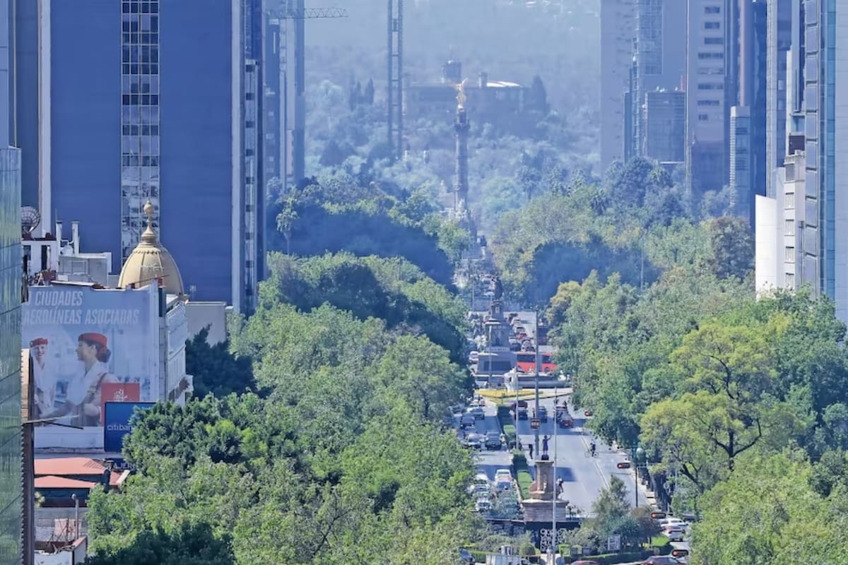 Habitantes de Polanco logran una suspensión provisional para frenar el festival del Mundial 2026 en Campo Marte tras denunciar irregularidades urbanas y riesgos de seguridad
