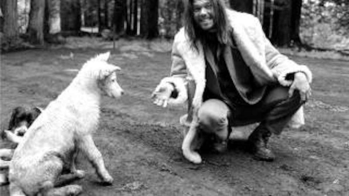 Old King es un emotivo tributo a su fiel perro Elvis.