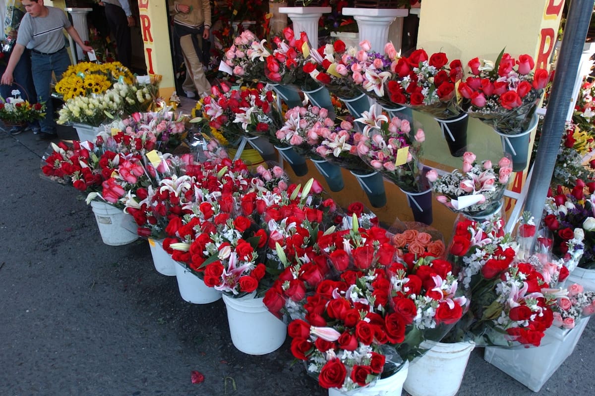Esperan florerías aumenten ventas en San Valentín