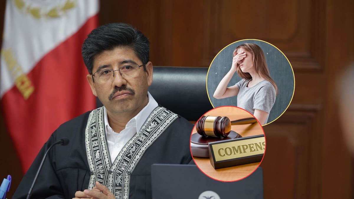 Ya es oficial: Suprema Corte ordenó a las empresas que utilicen la imagen de una persona para publicidad deberán pagarle indemnizaciones calculadas sobre ventas reales y actualizadas con inflación si no fue autorizada