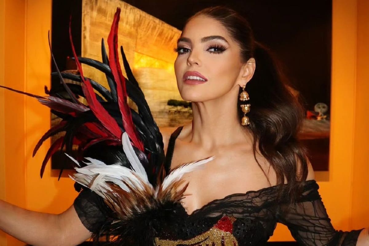 Ana Bárbara y su pareja interponen demanda contra José Francisco Ugalde