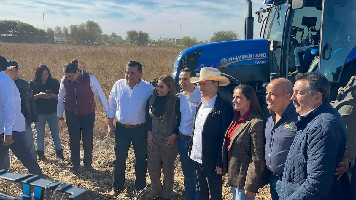 Arranca plan emergente fitosanitario en el Valle del Yaqui