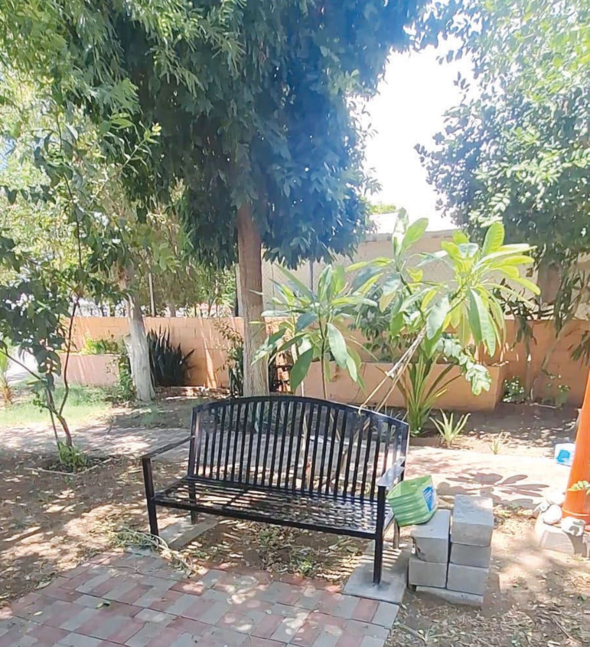 Hay espacios para descansar un momento bajo la sombra de los árboles.