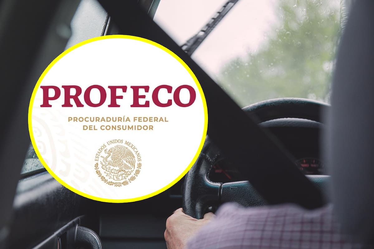 Profeco y Volkswagen llaman a revisión a más de 25 mil vehículos por defecto en cinturón de seguridad