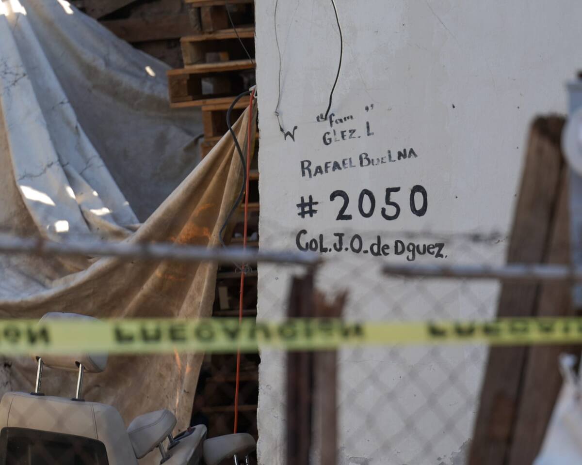 Foto: Javier Gallegos.