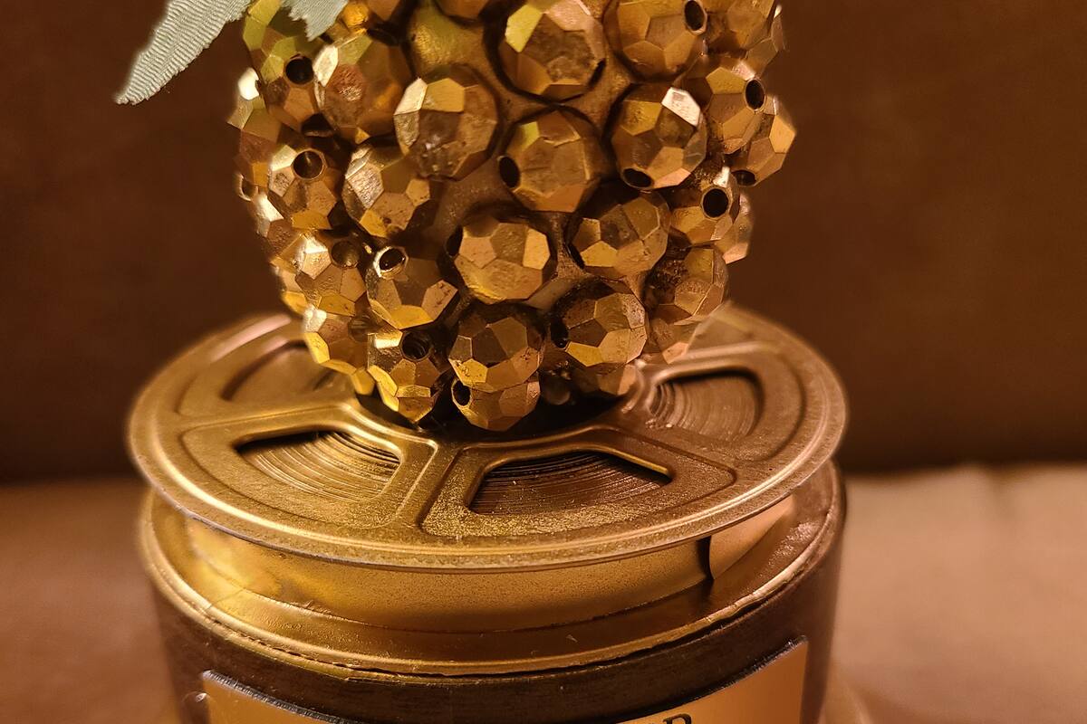 Premios Razzies: A lo peor del cine del 2023