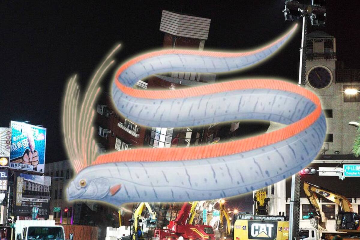 ¿Qué es “el pez del fin del mundo” y cómo lo ligan al terremoto de Taiwán?