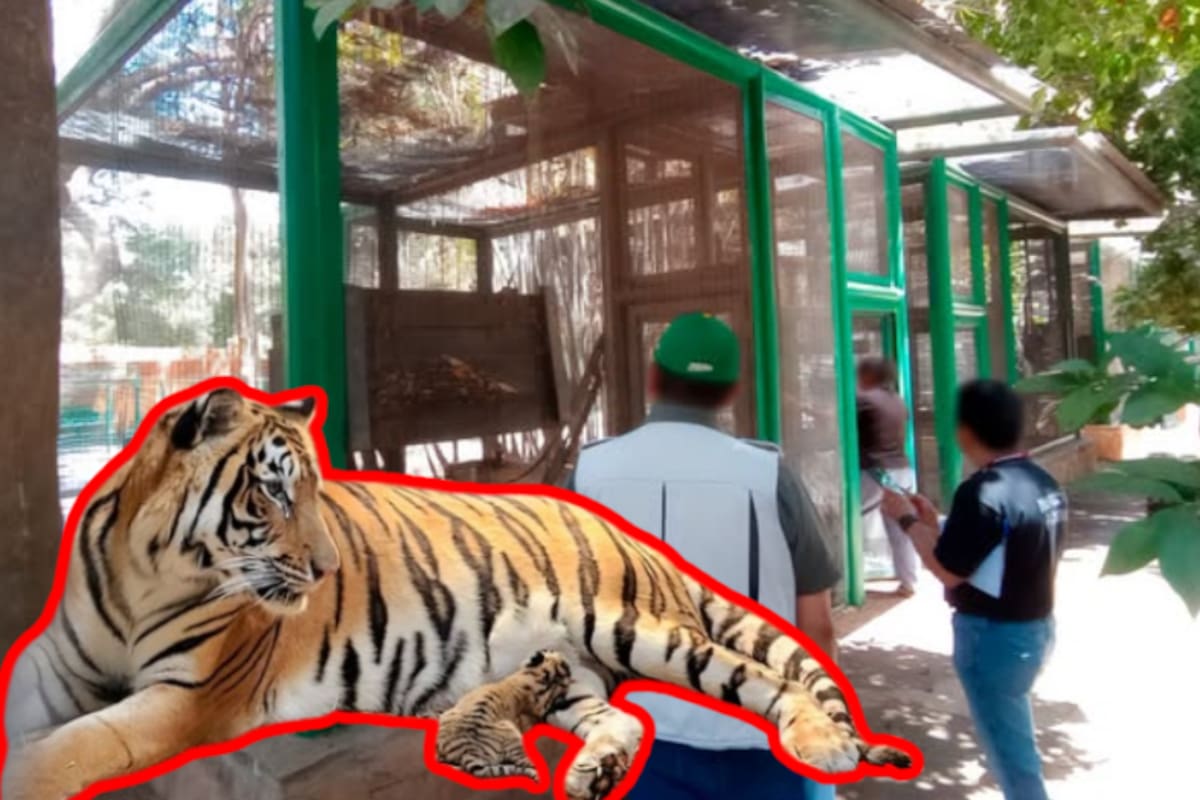 Asegura Profepa 119 animales del zoológico de Culiacán por irregularidades
