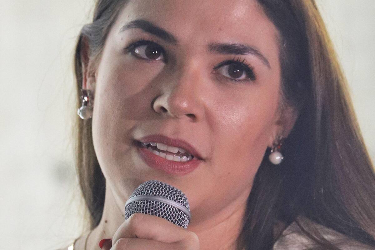 Diseños, pensados en el aficionado