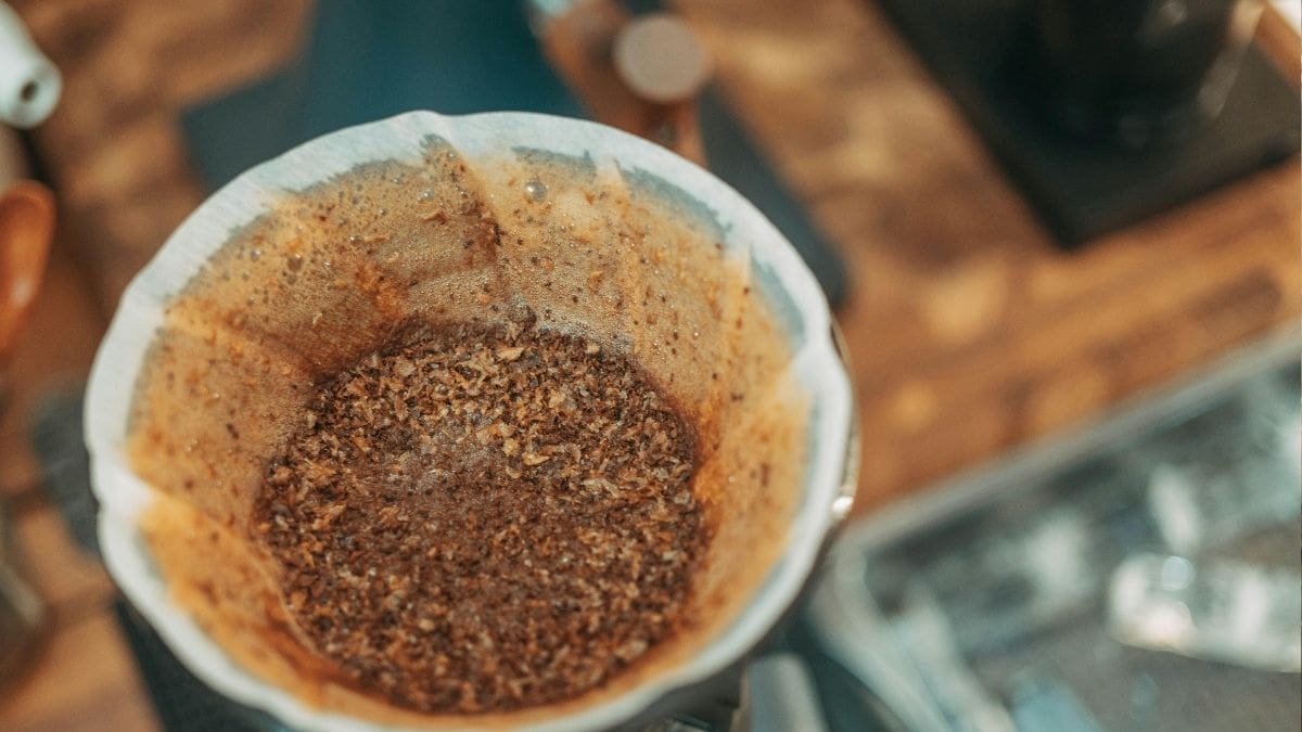 Antes de desechar los restos de café, conoce 8 formas útiles de reutilizarlos en casa