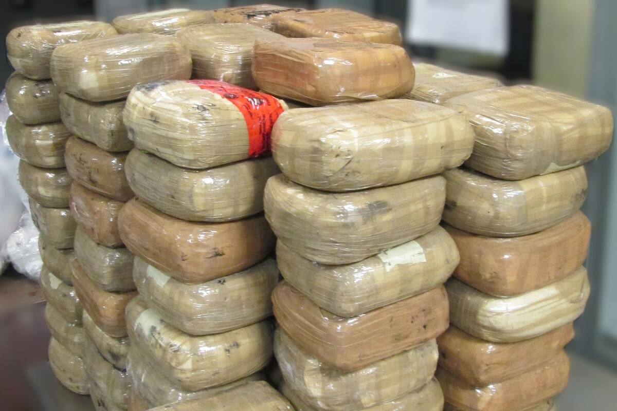 Agentes de CBP decomisaron narcóticos por un valor de 38 mdd durante mayo