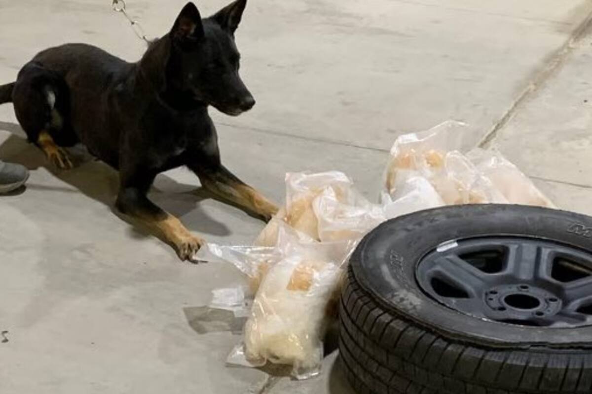 Hallan droga en llanta de refacción
