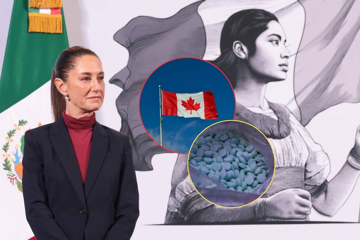 Canadá tiene problemas graves de consumo de Fentanilo: “Sí somos distintos”, dice Sheinbaum