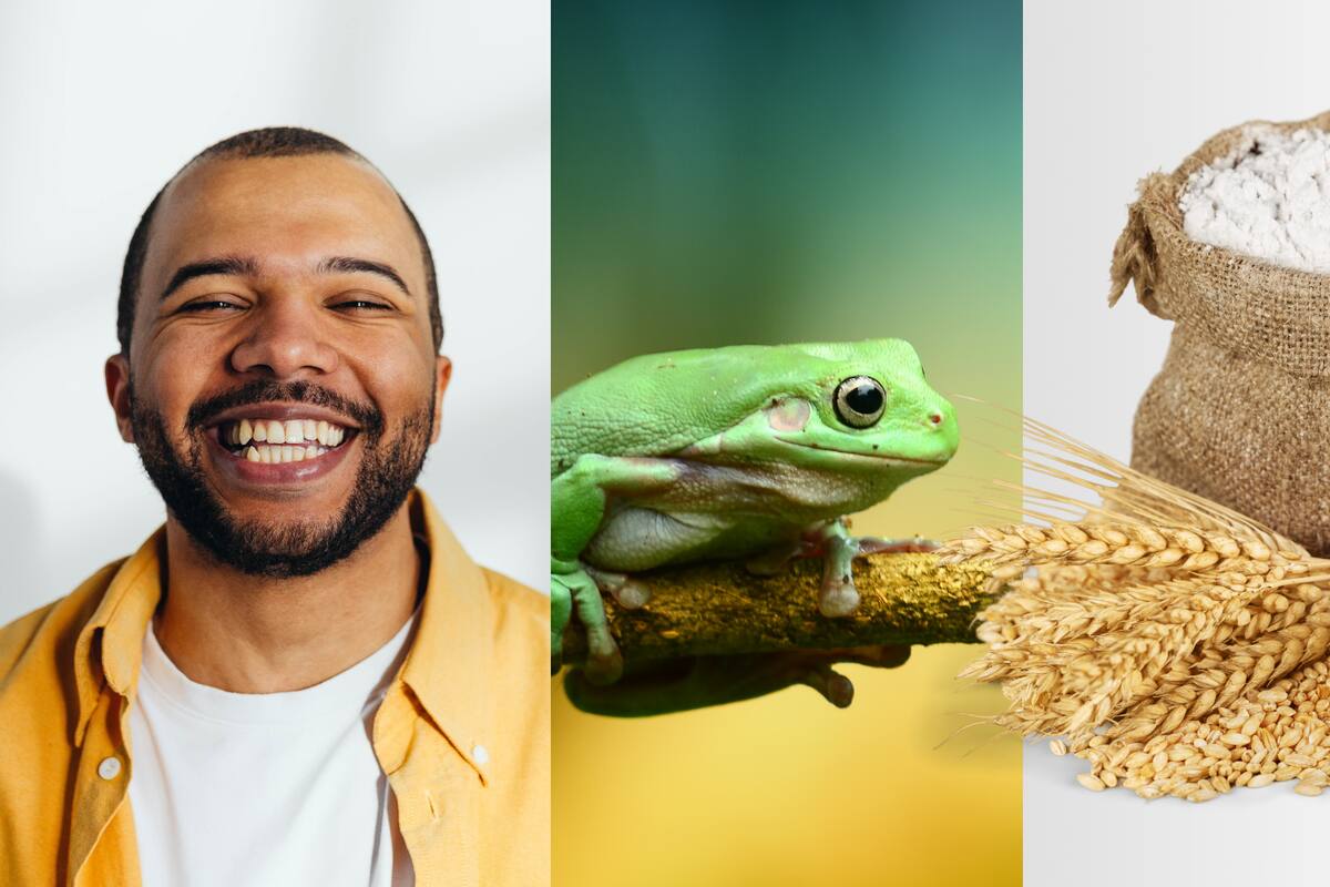 Efemérides del 20 de marzo: ¿Qué pasó un día como hoy?