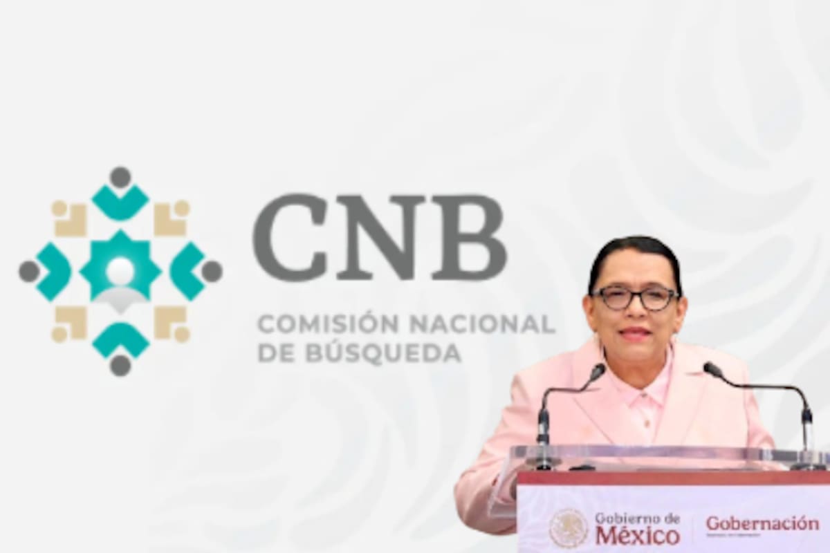 27 finalistas: estos son los perfiles que competirán por la Comisión Nacional de Búsqueda