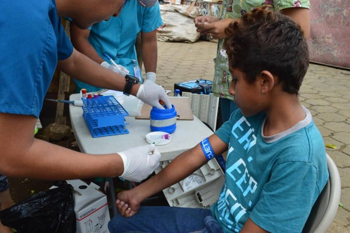 La infección por Zika puede aumentar el riesgo de sufrir un dengue más grave