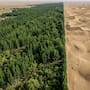 China construye desde 1978 una “Gran Muralla Verde” con bosques y vegetación para contener el desierto, proteger zonas agrícolas y reducir las tormentas de polvo