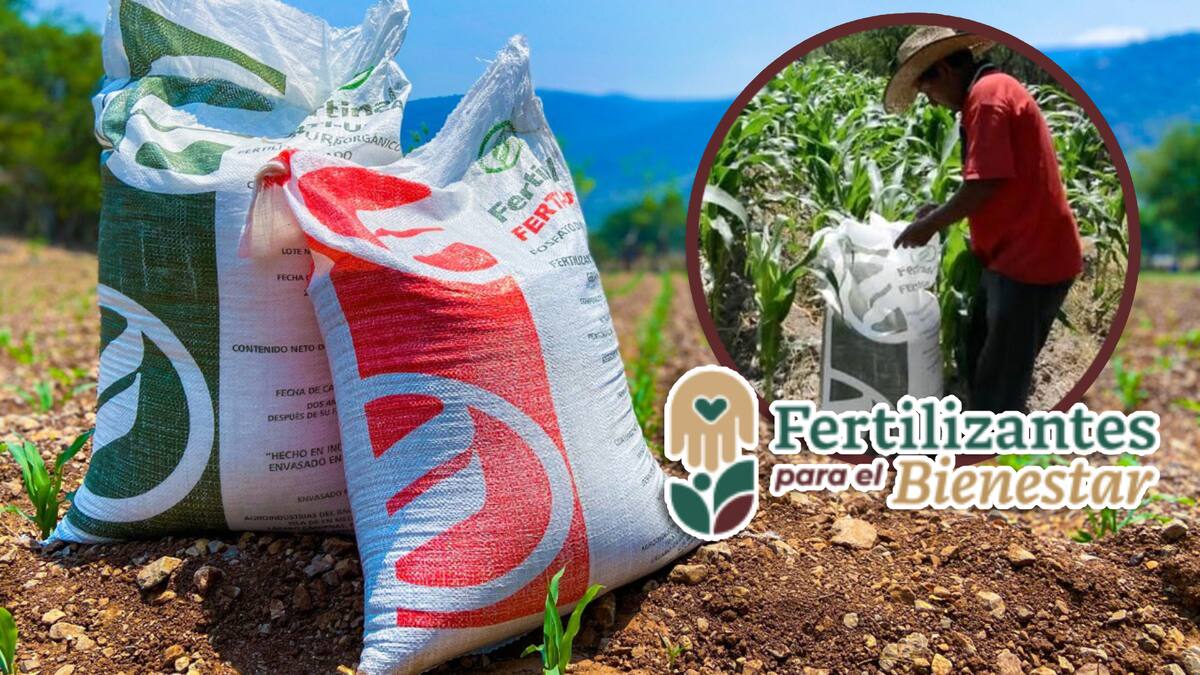 Agricultura anuncia fechas de registro para productores al programa Fertilizantes para el Bienestar y requisitos