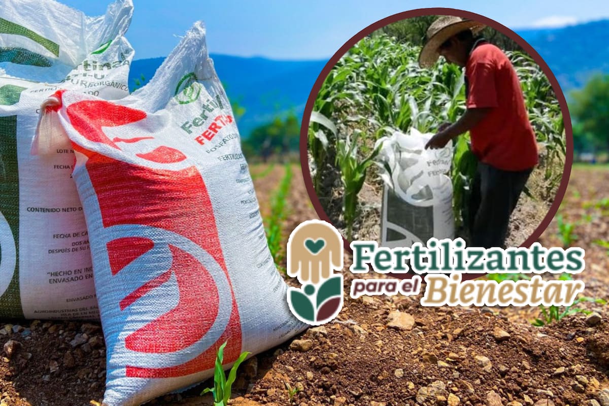Agricultura anuncia fechas de registro para productores al programa Fertilizantes para el Bienestar y requisitos