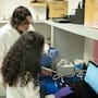 Cicese abre sus laboratorios a 15 jóvenes investigadores