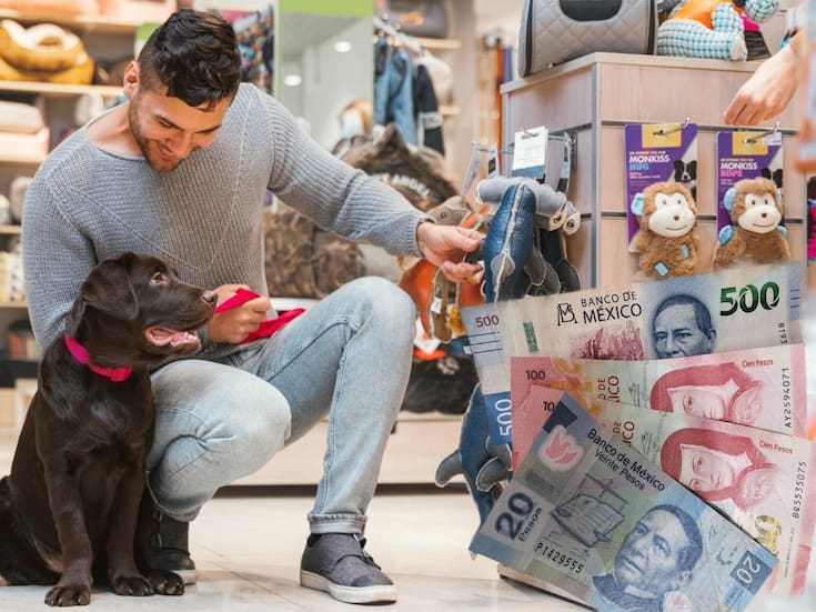 Familias mexicanas destinan casi 2,900 pesos al mes a sus mascotas; en qué gastan y por qué invierten cada vez más