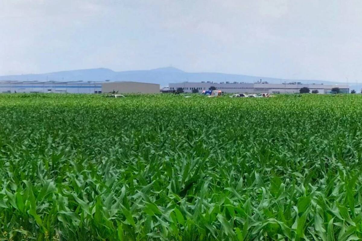 Aeronave se desploma tras despegar de aeropuerto en Querétaro
