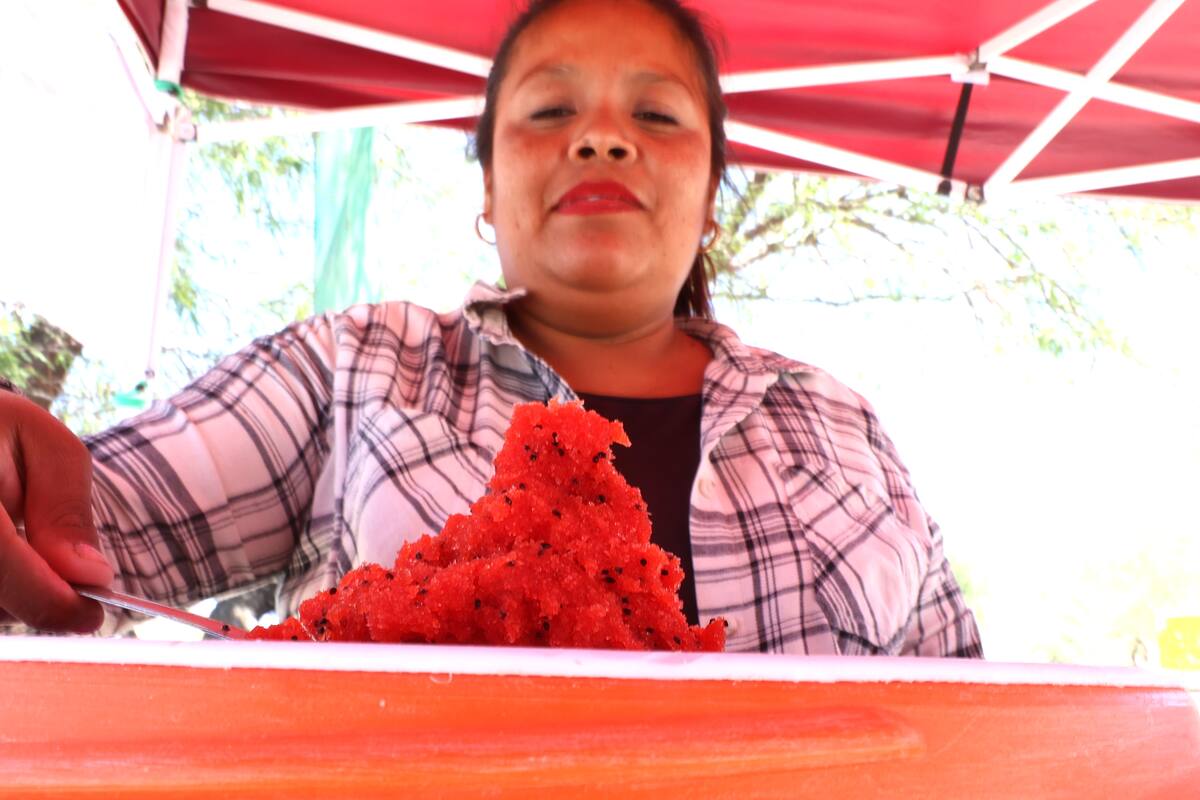Con pitayas de Guaymas arranca venta de nieve en Hermosillo