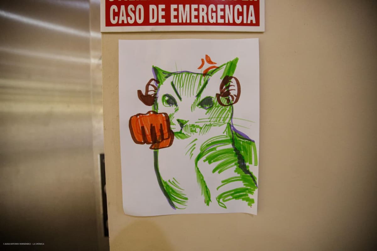 Foto: Juan Antonio Hernández.