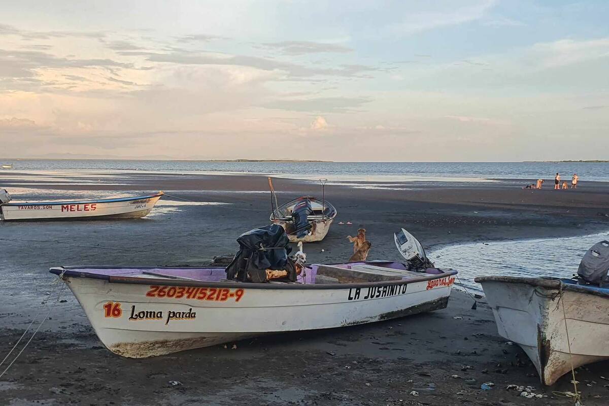 Piden pescadores del Sur Sonora que la veda de camarón no se extienda