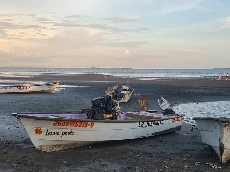 Piden pescadores del Sur Sonora que la veda de camarón no se extienda