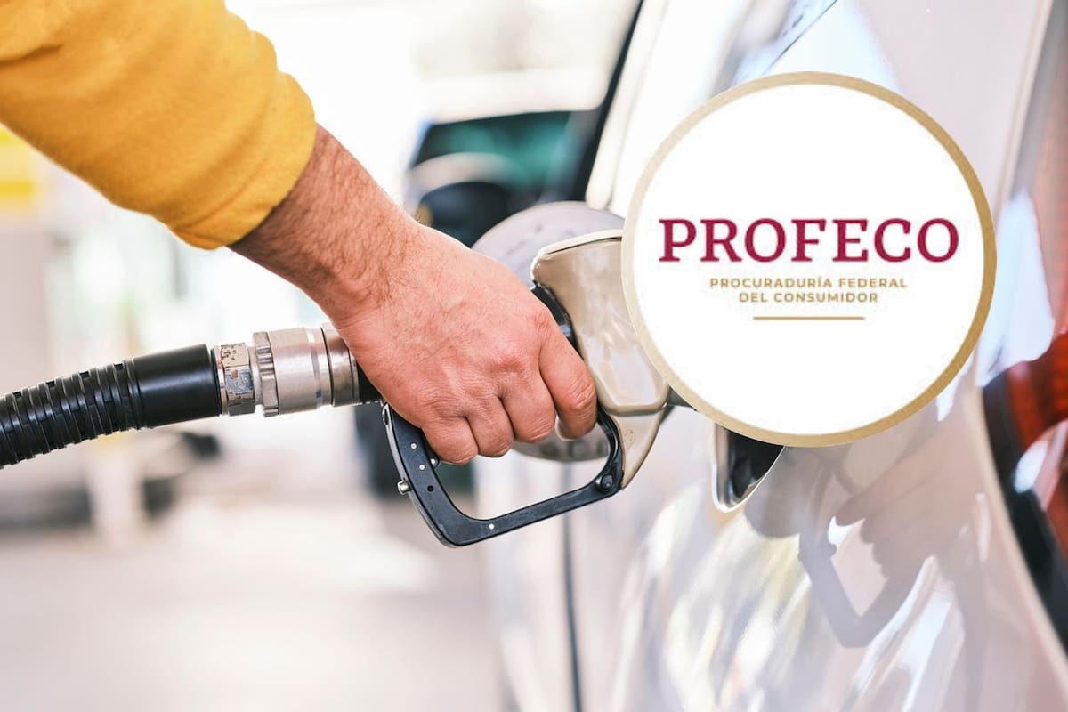 Gasolina, profeco